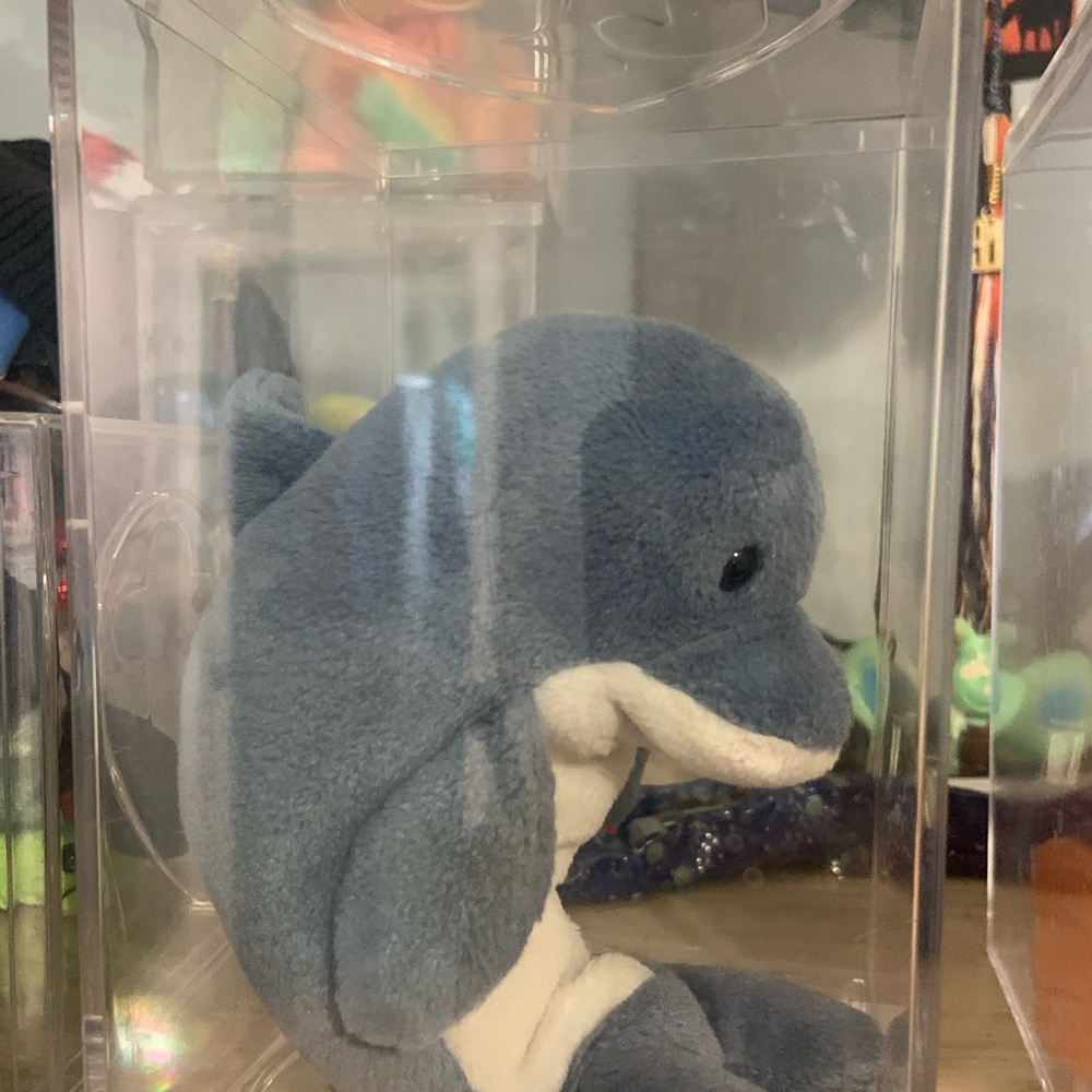 1997 Echo dolphin